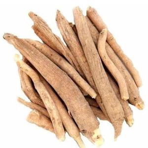 Raíz de Ashwagandha (Withania Somnifera) Seca al Sol Naturalmente de Rajasthan, Proveedor a Granel para Uso Cosmético y Medicinal - Product Image 5
