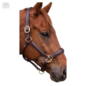 Wholesale Horse Leather Halter with padding and <b>snap</b> <b>hook</b> all brass hardware Custom logo - Product Image 2