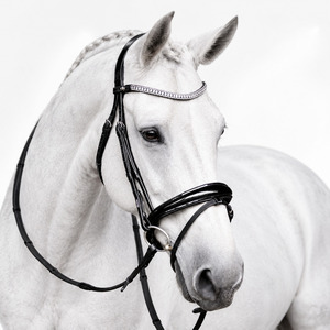 Brida de Cuero Negra con Diadema de Cristal, Brida Inglesa |   Equipo de equitación de cuero acolchado |   Brida para Doma Clásica y Salto Obstáculos |   Equitación - Product Image 1