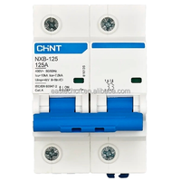 Nuevo Interruptor Automático Miniatura (MCB) Tipo PLC con Garantía de Un Año, CHINT NXB-125 2P 125A Curva B/C/D 380V/220V para Automatización Industrial