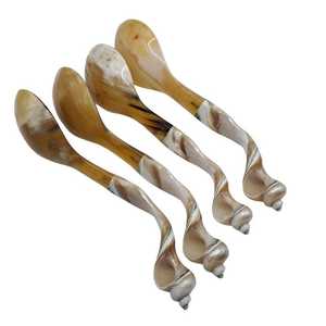 Hand Carved <b>Shell</b> Spoon Set With Long Handle Vintage Design Creative Natural Pattern <b>Mirror</b> Polish Finish - Product Image 6