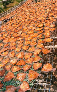 VAN BACH TUNG Tilapia Seca Premium 100% Natural, Pescado Entero, Alto en Proteínas, Envasado al Vacío Salado, 1 kg - Product Image 6