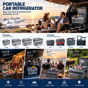 12L <b>Portable</b> Car <b>Fridge</b> Thermoelectric Refrigerator Freezer Heating Cooling Frost Free 12V 24V for Outdoor Travel - Product Image 5