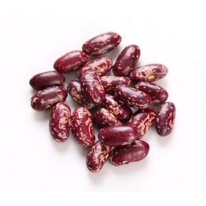 Frijoles Rojos Moteados Secos Orgánicos a Granel 25 kg - Product Image 1