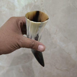 Cuerno para Beber OX Pequeño de la Mejor Calidad 100%, Utensilio Medieval para Beber, Regalo de Herencia, Cuerno Blanco Corto Pulido a Precio de Mayoreo - Product Image 3