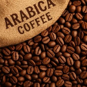 Wholesale Roasted Arabica <b>Robusta</b> <b>Coffee</b> <b>Beans</b> with Private Label and Custom Bag Design OEM/ODM Packaging - Product Image 5