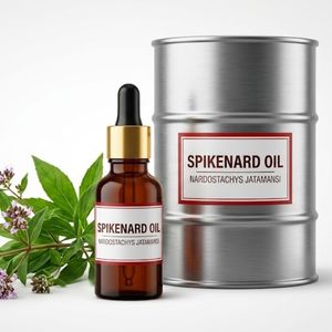 100% Pure & Natural Spikenard Essential <b>Oil</b> Steam Distilled Bulk Wholesale for Aroma <b>Diffuser</b> Spa Massage Skincare OEM ODM - Product Image 3