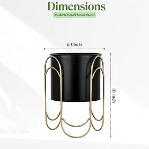 Minimalist Gold Plated Metal Flower Stand With Circular Design For Indoor Desk <b>Plant</b> Display - Product Image 4