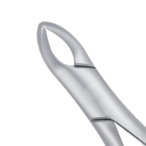 Forceps d'extraction universels 151S Pedo pour racines de dents de la petite enfance, en acier inoxydable chirurgical dentaire pédiatrique pour chirurgie buccale - Product Image 3