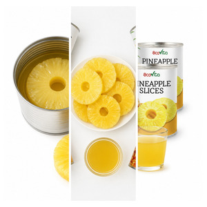 Cheap Price International Standard Vietnam Manufacturer Supply Top Selling Tasty Pineapple in Pineapple Juice In Bulk - Product Image 5