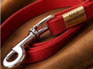High Quality Dog <b>Collar</b> for Walking Training Outdoor Activities Nylon Material and Metal Fittings At Best Price By Exporter - Product Image 3