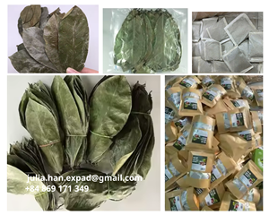 ชาซุปเปอร์โซปแบบซองพรีเมียม ชาใบกระเจี๊ยบแห้งแบบซองฉลากส่วนตัว มาตรฐานสหรัฐอเมริกา รับผลิตแบบ OEM ขายส่งจำนวนมาก - Product Image 6