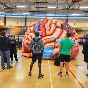 แบบจำลองสมองมนุษย์เป่าลมขนาดยักษ์สำหรับจัดแสดงเพื่อการศึกษาแบบอินเทอร์แอคทีฟ - Product Image 5