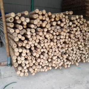 Varas de bambú ecológicas para construcción, jardinería, paisajismo, decoración de interiores y artesanías. - Product Image 1