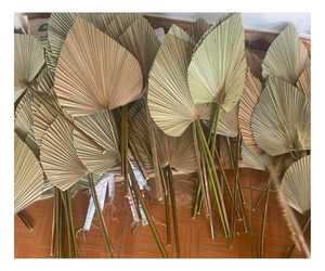 Éventail en feuilles de palmier colorées, fait main, souvenir vintage pour les événements - Product Image 1