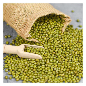 Exportateur de haricots mungo verts frais de la ferme pour les importateurs, les usines alimentaires et les distributeurs de produits agricoles - Product Image 3