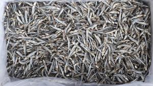 ปลาแอนโชวี่เวียดนามตากแห้ง ราคาดีที่สุดจากบลูโลตัส คุณภาพพรีเมียมสำหรับของว่างและเมนูรสเลิศ - Product Image 2