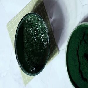 Espirulina Verde en Polvo Premium de la India para Suministro a Granel a Fabricantes de Superalimentos y Distribuidores de Ingredientes Nutricionales - Product Image 1
