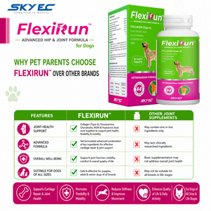 อาหารเสริมบำรุงข้อต่อสุนัข FlexiRun พร้อมกลูโคซามีน คอนดรอยติน และ MSM ชนิดเม็ด - บำรุงสะโพกและข้อต่อขั้นสูง 30 เม็ด ปราศจากธัญพืช - Product Image 6