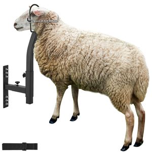 Support de tonte réglable en hauteur (0-5,4 pouces) en métal pour moutons et chèvres, occasion, pour l'industrie agricole - Product Image 6