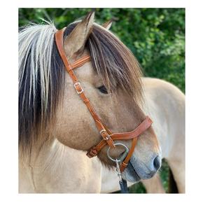 Bande de sourcils de cheval marron de haute qualité pour l'équitation occidentale Conception portable confortable avec du cuir de pierre dorée blanc cristal pour Ve - Product Image 3