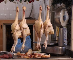 Pollo Entero Congelado IQF, Grado 1, 12 Meses de Vida Útil, Cajas (10-20 Kg), Suministro a Granel para Distribución de Alimentos, Origen Sudáfrica - Product Image 2