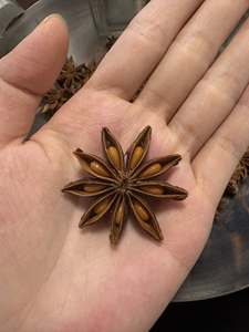 โป๊ยกั๊กคุณภาพสูง สำหรับการสกัดกลิ่นอาหารขั้นสูงและรสชาติเครื่องดื่มเชิงพาณิชย์ เวียดนาม - Product Image 4
