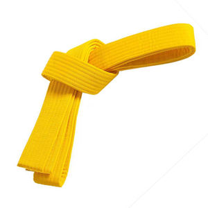 Cinturón de Karate Personalizado de Alta Calidad 2026, Multicolor, Bordado con Logotipo Propio, Equipo de Artes Marciales de Alta Calidad a Bajo Costo - Product Image 3