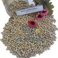 Poudre de poivre blanc standard d'exportation 630GL de grande pureté, arôme fort, emballage au détail et en vrac disponible