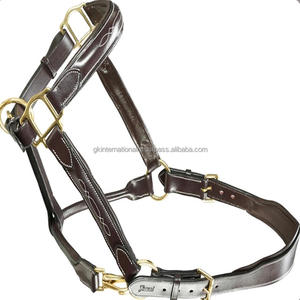 Classic Leather Halter Extra Comfort <b>Padding</b> & Stitching Genuine Leather Horse Halter and Head Collar Leather Adjustable Halter - Product Image 5