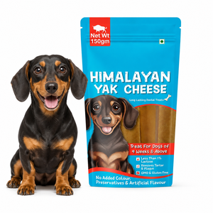 Masticables de Leche de Yak del Himalaya 100% Naturales para Perros, Cuidado Dental, Larga Duración, Alto Contenido de Proteínas, Empaque Personalizado, Venta al Por Mayor, OEM, ODM - Product Image 1