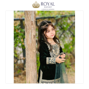 Offre Spéciale sur un Ensemble Salwar en Velours de Viscose Lourd de Qualité Supérieure, Style Indien, avec Broderies et Dupatta en Tulle - Product Image 2