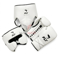 Nouvel ensemble de boxe Fly Boxing imprimé unique, 100% cuir véritable, gants de boxe professionnels, ensemble d'entraînement de boxe Pro Punching