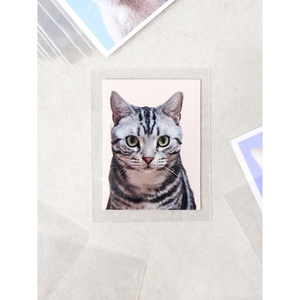 Comprare 80 scatole di carta fotografica e supporti Mini manica a prova di collezione - Product Image 1