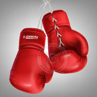 Gants de boxe pour adultes, gants d'entraînement de boxe, gants de fitness de boxe, gants de sport de boxe
