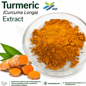 Hgo สารสกัดขมิ้น (Curcuma Longa) จากโรงงานโดยตรง curcuminoids/curcumin 50% (สารสกัดมาตรฐาน) - Product Image 2