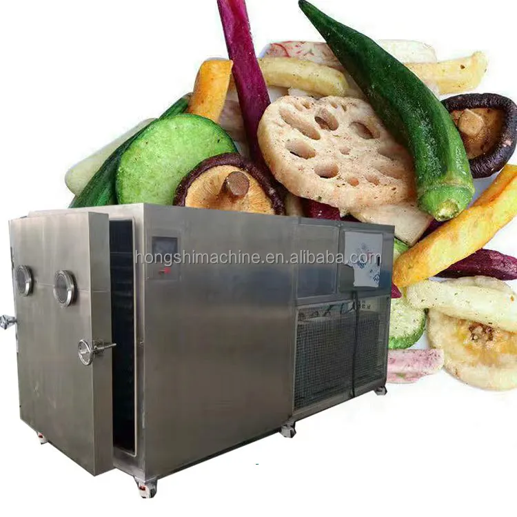 真空フルーツドライ凍結乾燥機バナナ凍結乾燥機スプレー凍結乾燥機