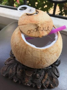 Carne de Coco Premium de Vietnam – Fresca y Congelada, Pulpa Blanca Natural, Sin Aditivos // Mr.Tom - Product Image 6