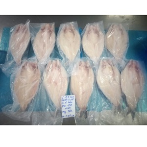 Filet de Pangasius Congelé VH Food Vietnam IQF Qualité Export Faible Teneur en Glucides Couleur Naturelle Peau Entière/Sans Peau Style Papillon Tailles 20-35 - Product Image 2