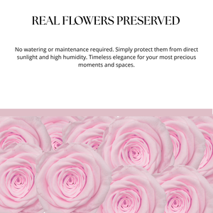 Caja de 6 rosas preservadas, color rosa, ideal para el Día de la Madre, San Valentín, bodas, elaboración de ramos y decoraciones de lujo. - Product Image 3