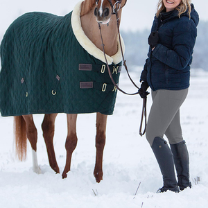 Custom Printed Full Seat Silicone Women Horse Riding Jodhpurs Wholesale Ladies Stretch Equestrian Breeches For Riding Wear - Product Image 3