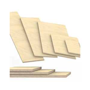 Contrachapado comercial de calidad superior para arquitectos, constructores y profesionales de diseño de interiores - Product Image 1