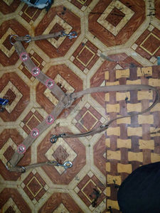 SE VENDE COREZO DE CUERO DE CABALLO WESTERN CON CUERO COLORANTE EN Dollar 6 full COB Shetland - Product Image 6