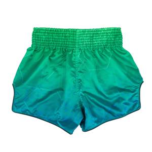 Shorts de Muay Thai Fairtex sur mesure, personnalisables, très demandés, qualité supérieure, 100% polyester extensible, durable et respirant - Product Image 2