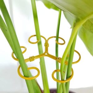 Support de plante en métal pour plantes grimpantes Monstera - Product Image 1