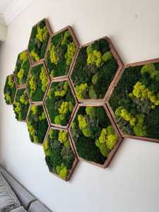 Arte de Pared Hexagonal de Madera Hecho a Mano con Musgo, Marco Marrón Oscuro, Follaje Verde, Decoración Moderna para el Hogar, Diseño Geométrico - Product Image 5