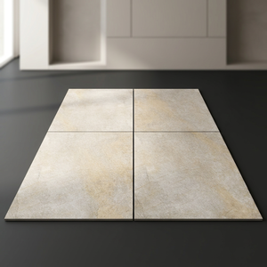 Full Body Porcelain 20mm 600x600mm Heavy Duty Non-Slip Antibacterial Outdoor Floor Tiles Driveway Pavers for Hall & Mall - Product Image 3