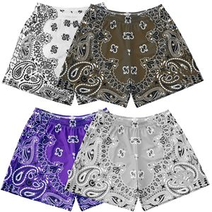Shorts en maille pour hommes imprimés sur mesure, vente en gros, 5 pouces, sublimation personnalisée, motif cachemire, avec poches - Product Image 3