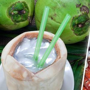 Agua de Coco Congelada en Envases a Granel al por Mayor - Product Image 5