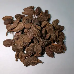 กระวานดำบาดีเอลาอิชิ (อะมอมัม ซับลาตัม) เครื่องเทศหอมเข้มข้น ฝักสีน้ำตาลเข้มขนาดใหญ่ ผิวหยาบ สำหรับทำการัมมาซาลา ดัลมาคานี - Product Image 2